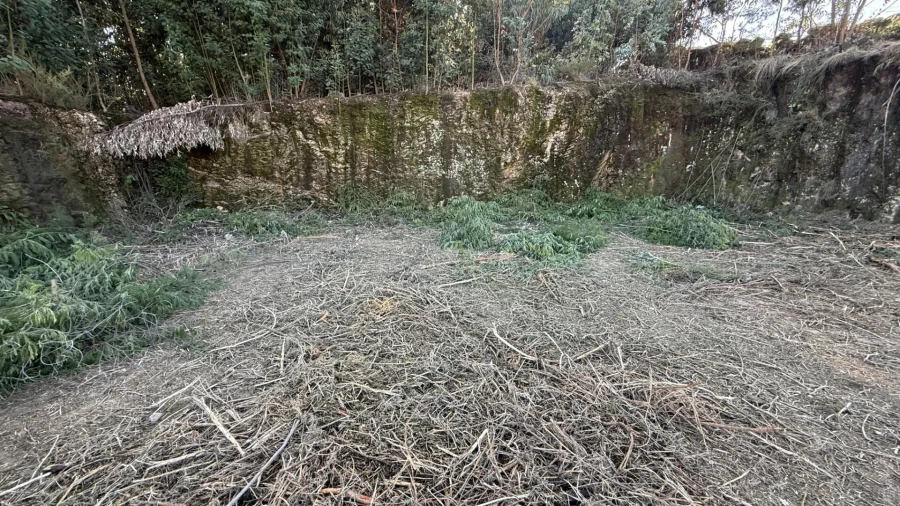 Terreno para Venda em Airão Santa Maria, Airão São João e Vermil Foto 3