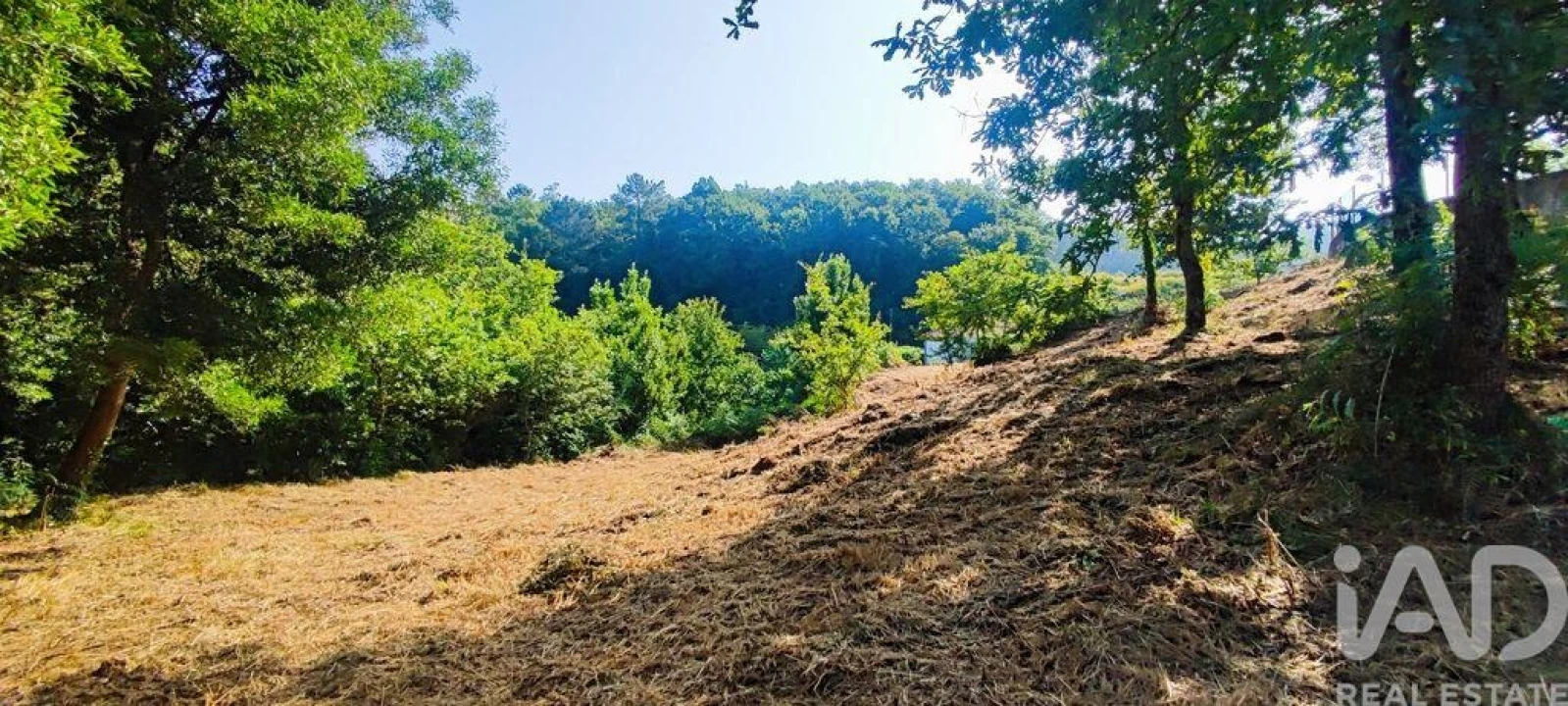 Terreno para Venda em Romarigães Foto 7
