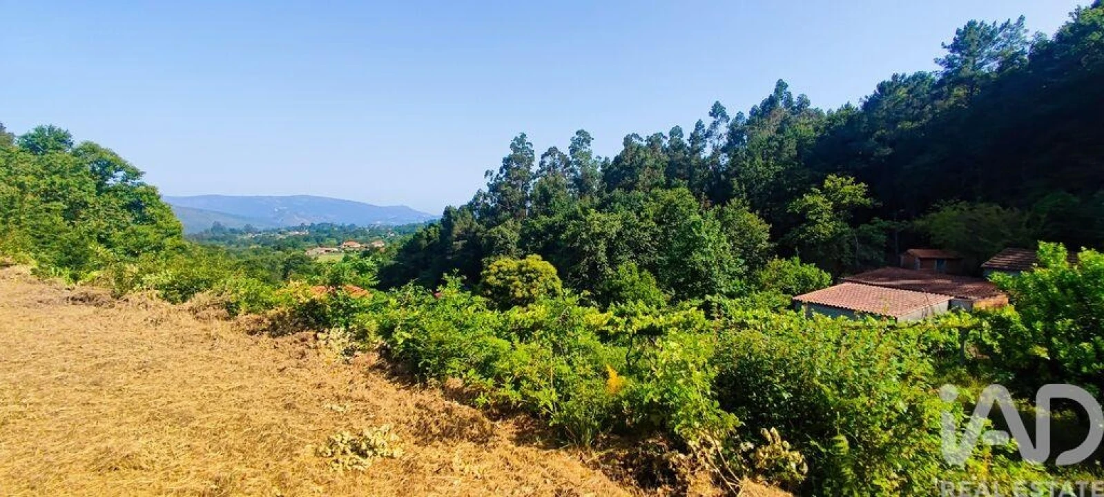 Terreno para Venda em Romarigães Foto 14