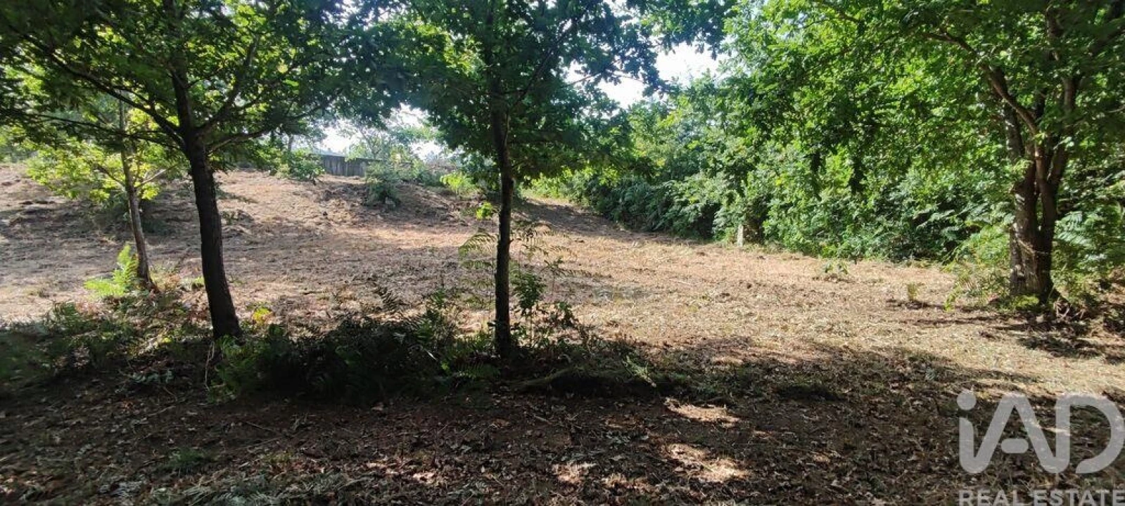 Terreno para Venda em Romarigães Foto 1