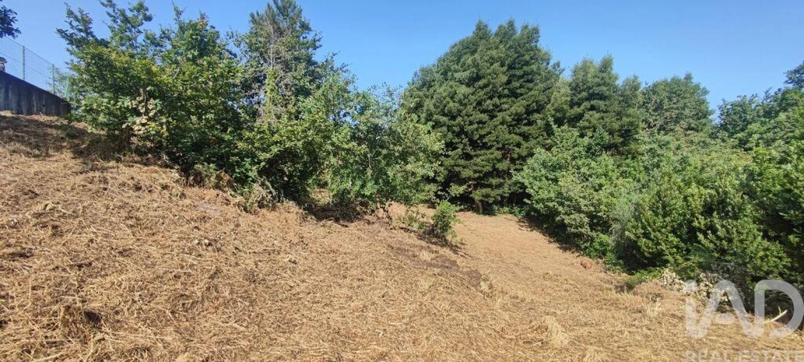 Terreno para Venda em Romarigães Foto 12