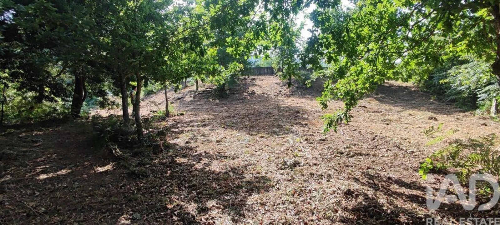 Terreno para Venda em Romarigães Foto 2