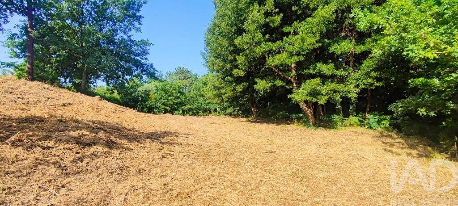 Terreno para Venda em Romarigães Foto 10