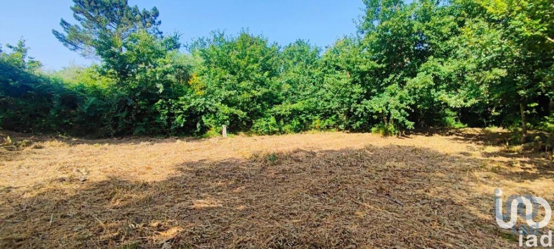 Terreno para Venda em Romarigães Foto 8