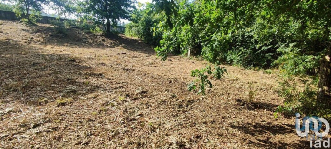 Terreno para Venda em Romarigães Foto 5