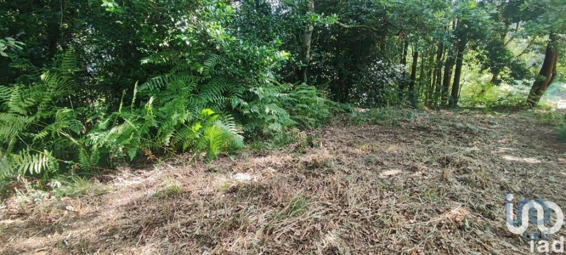 Terreno para Venda em Romarigães Foto 6