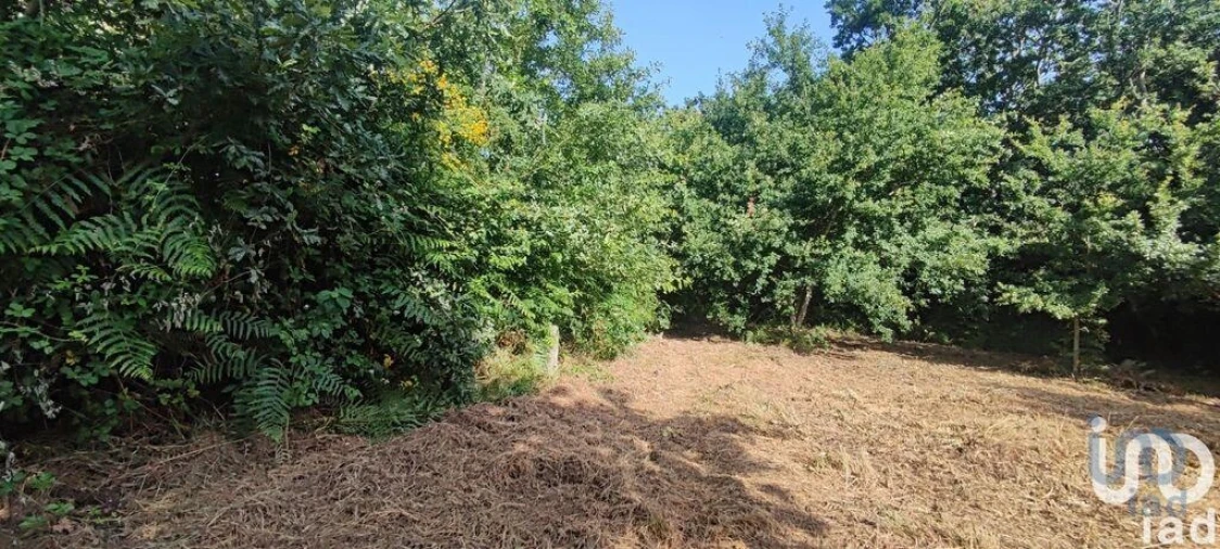 Terreno para Venda em Romarigães Foto 4