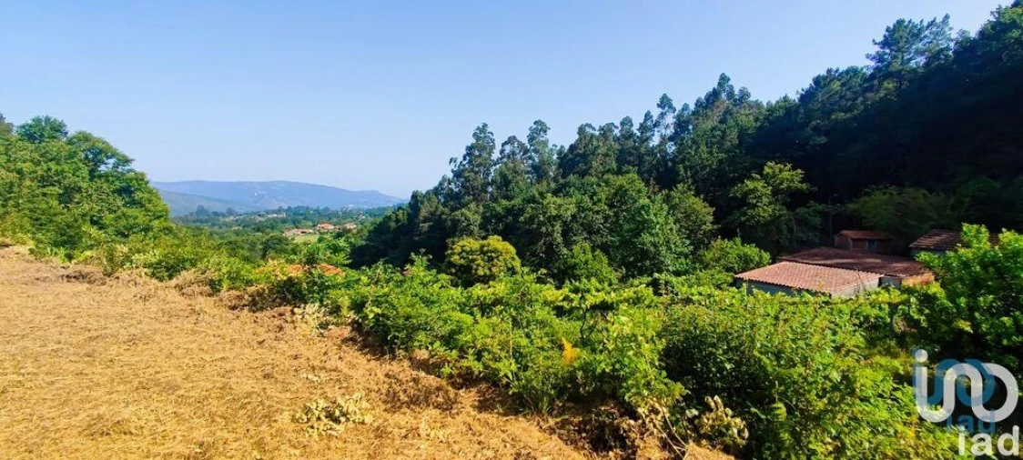 Terreno para Venda em Romarigães Foto 14