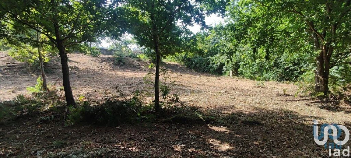 Terreno para Venda em Romarigães Foto 1