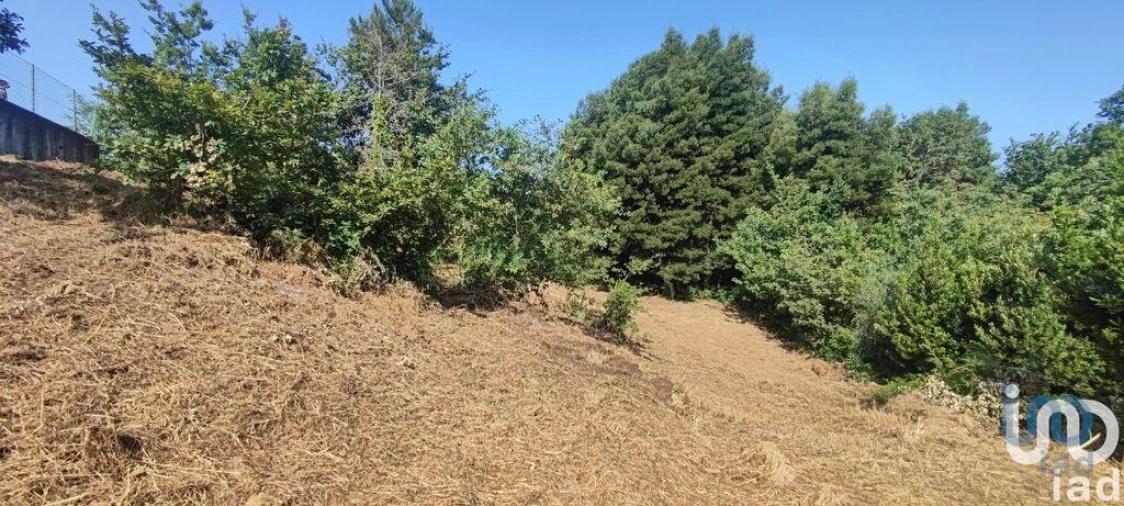 Terreno para Venda em Romarigães Foto 12