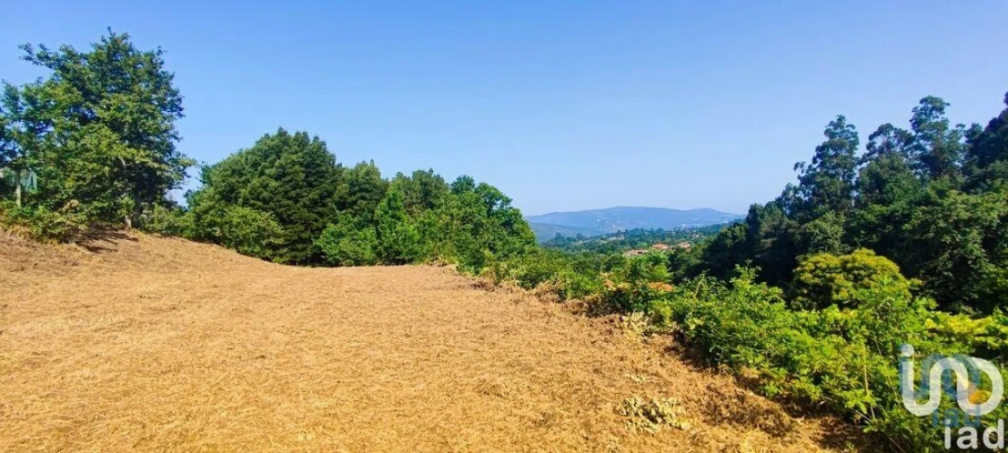Terreno para Venda em Romarigães Foto 13