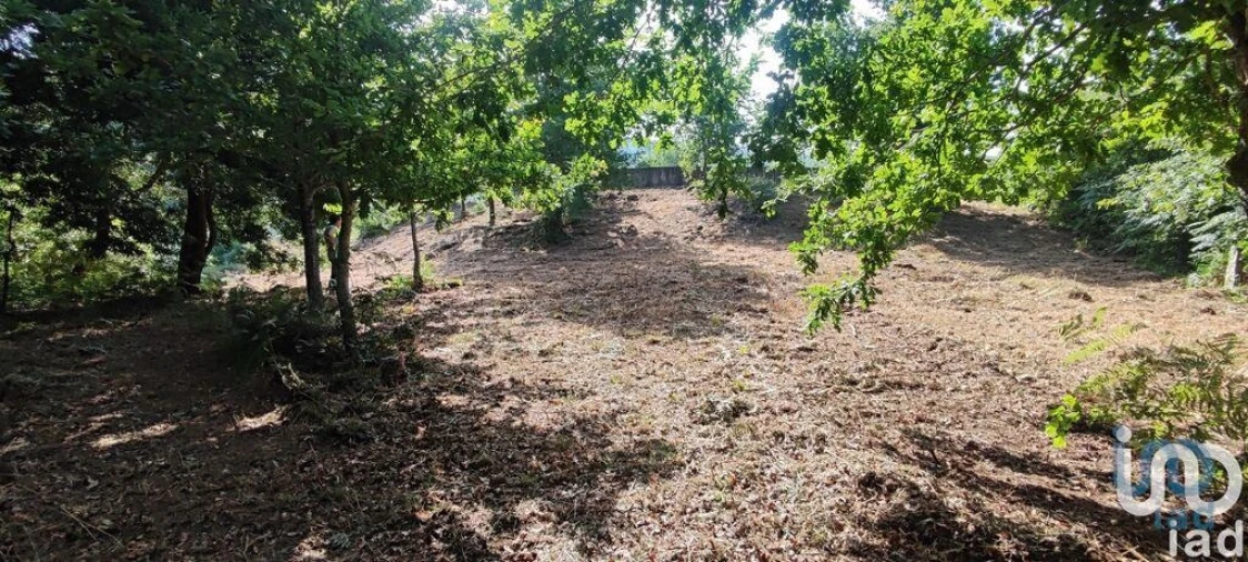 Terreno para Venda em Romarigães Foto 2