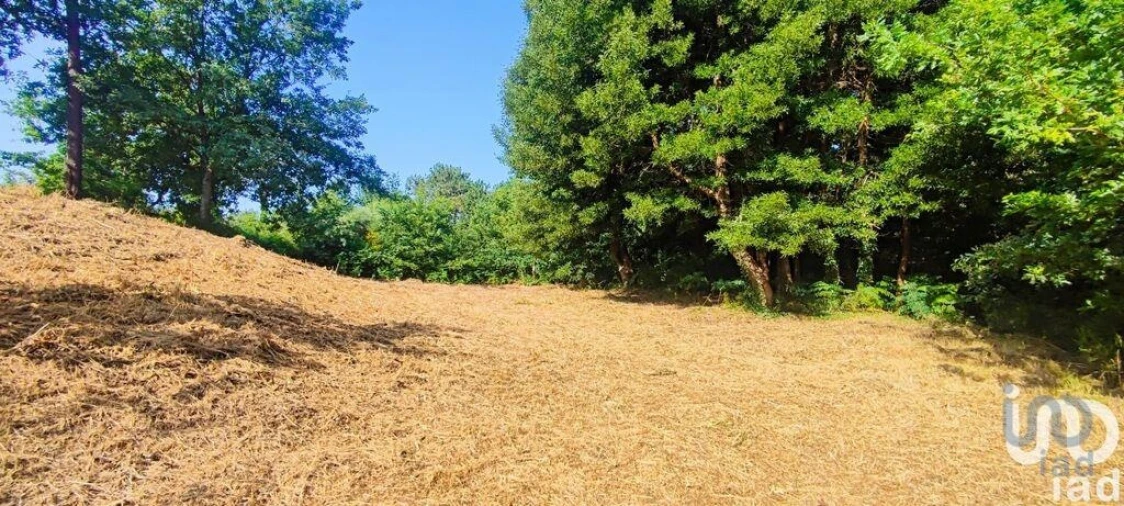 Terreno para Venda em Romarigães Foto 10