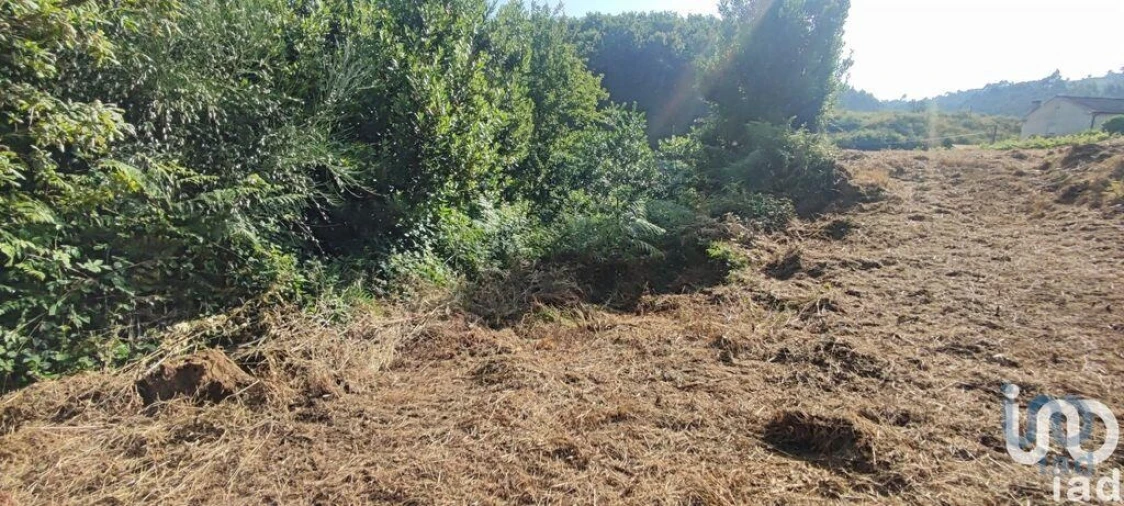 Terreno para Venda em Romarigães Foto 9