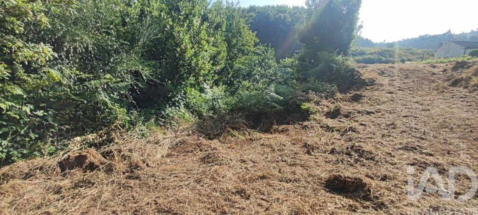 Terreno para Venda em Romarigães Foto 9