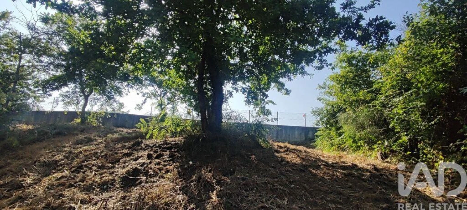 Terreno para Venda em Romarigães Foto 3