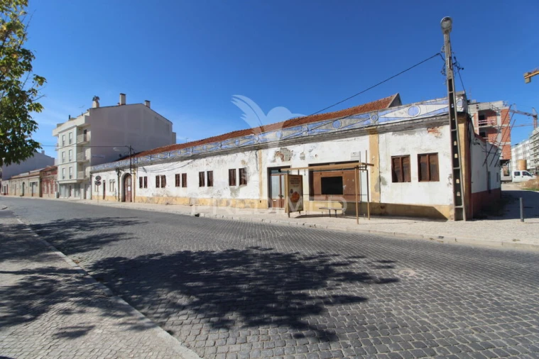 Terreno para Venda em Montijo e Afonsoeiro Foto 2