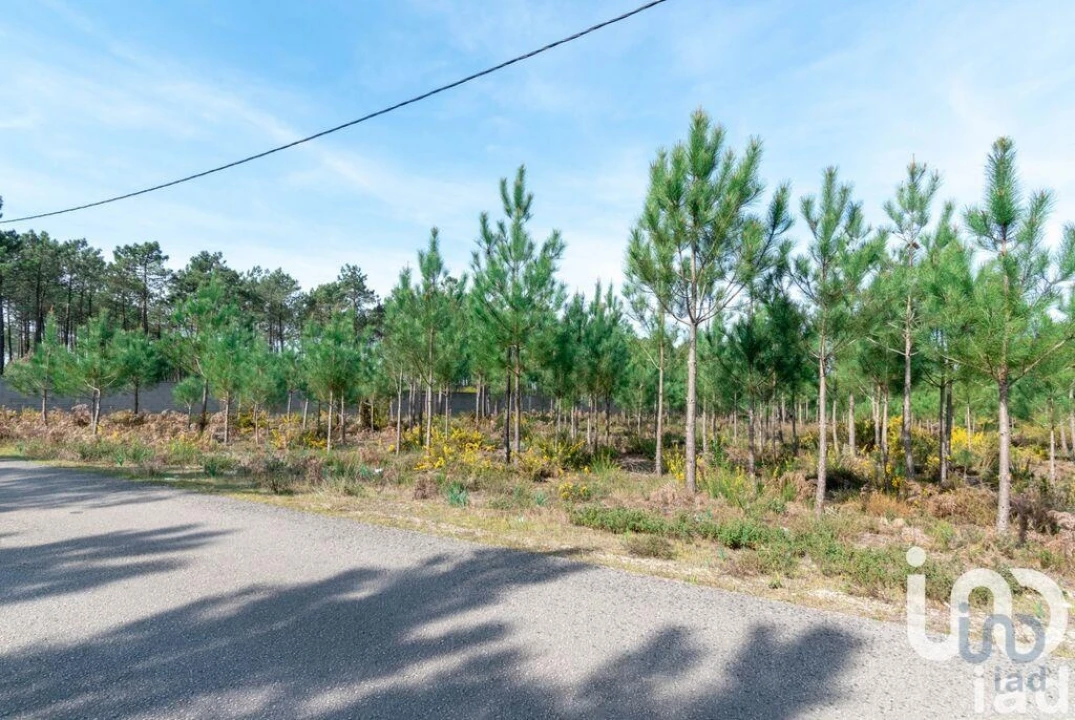 Terreno para Venda em Marinha Grande Foto 3