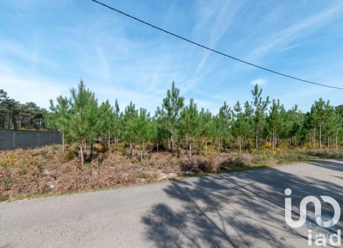 Terreno para Venda em Marinha Grande