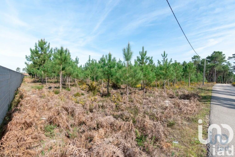 Terreno para Venda em Marinha Grande Foto 5