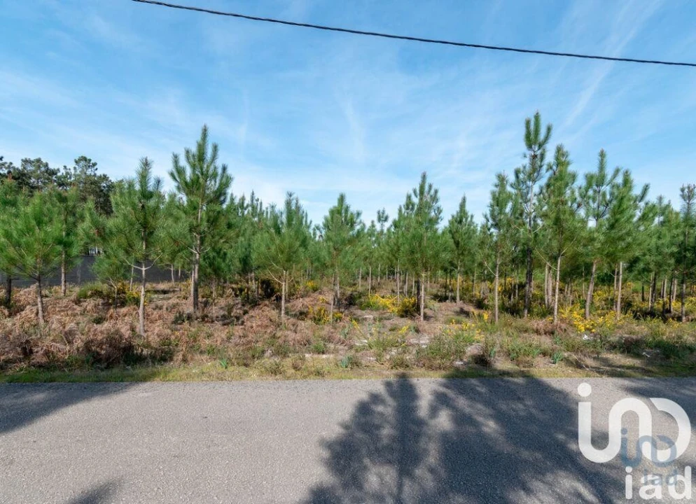 Terreno para Venda em Marinha Grande Foto 2