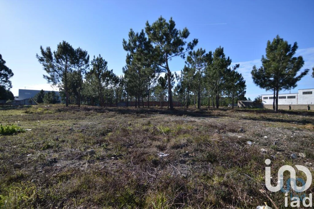 Terreno para Venda em Marinha Grande Foto 4