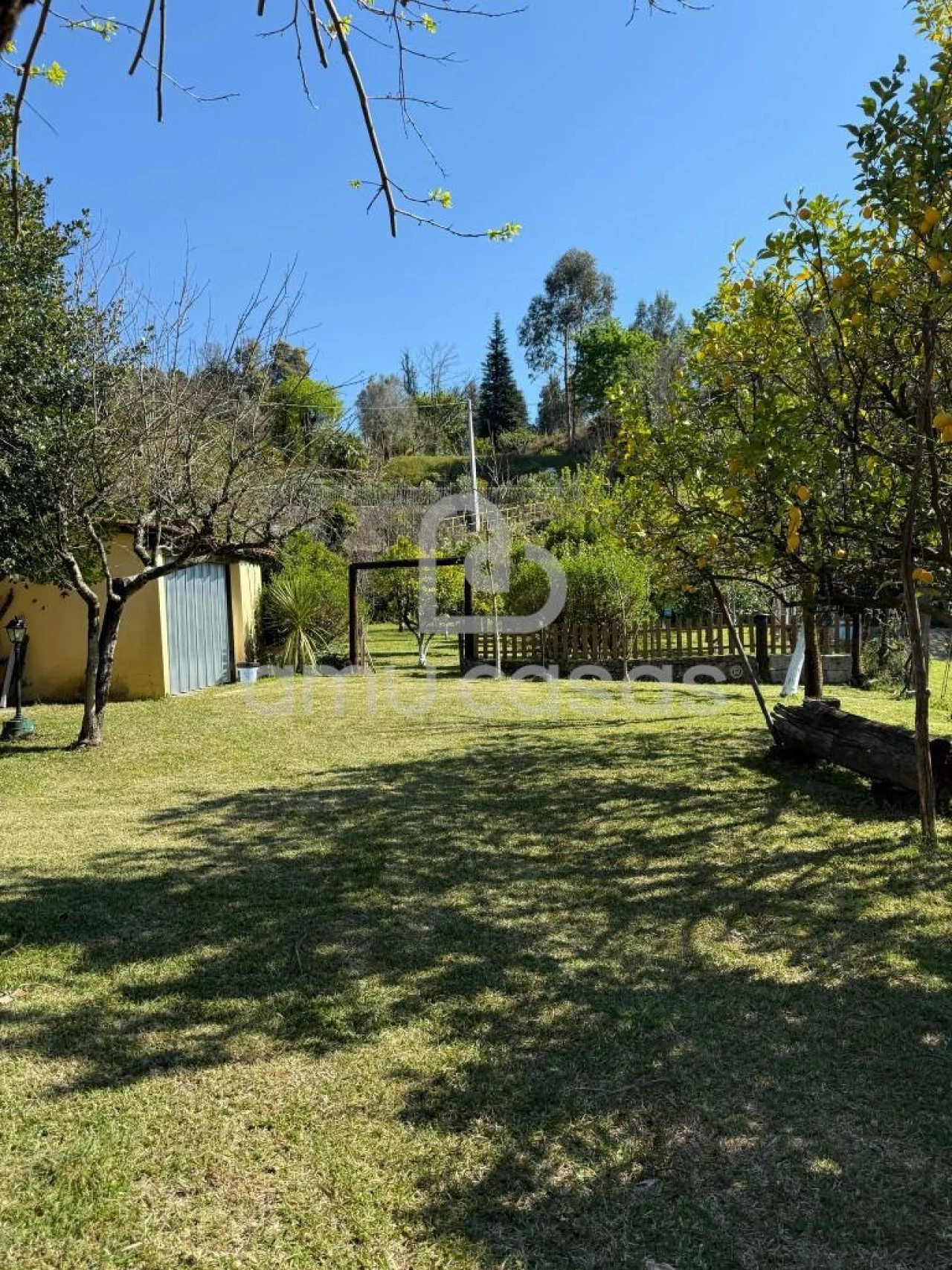 Quinta T3 para Venda em Valdreu Foto 6