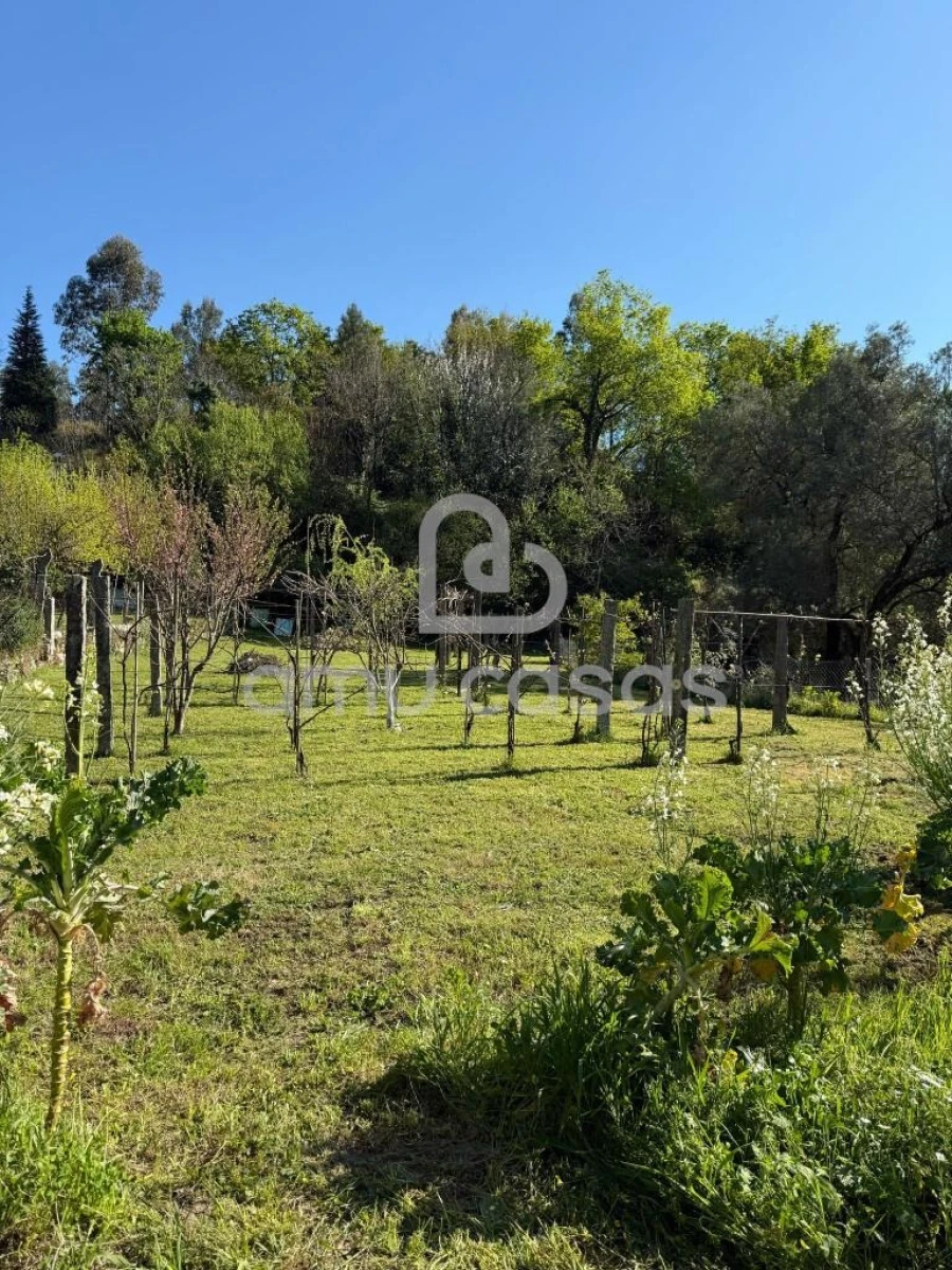 Quinta T3 para Venda em Valdreu Foto 8