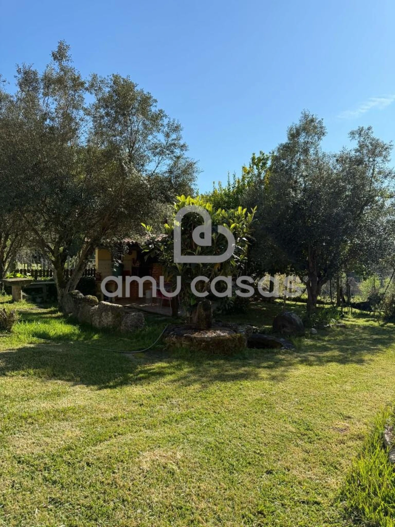 Quinta T3 para Venda em Valdreu Foto 12