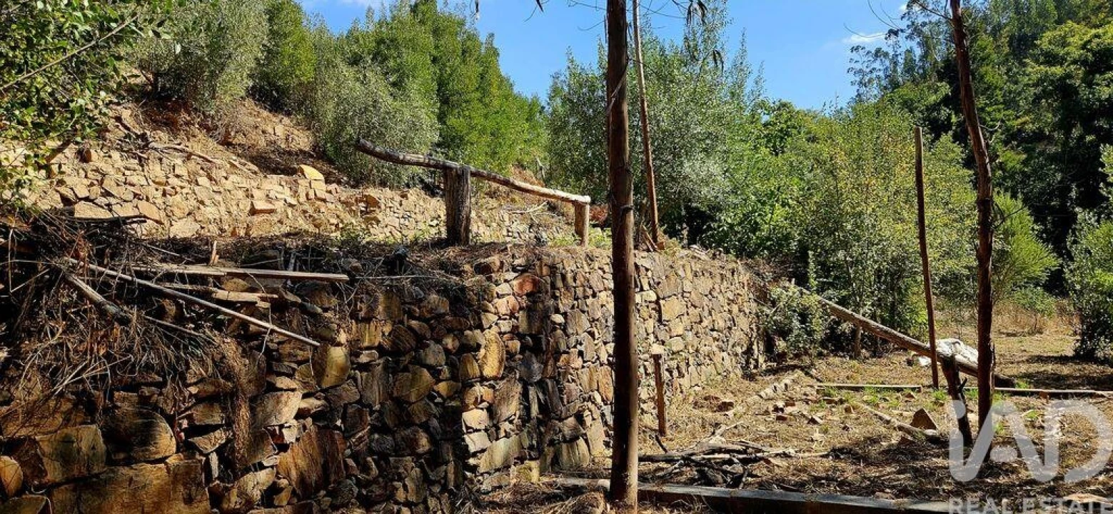 Terreno para Venda em Monchique Foto 24