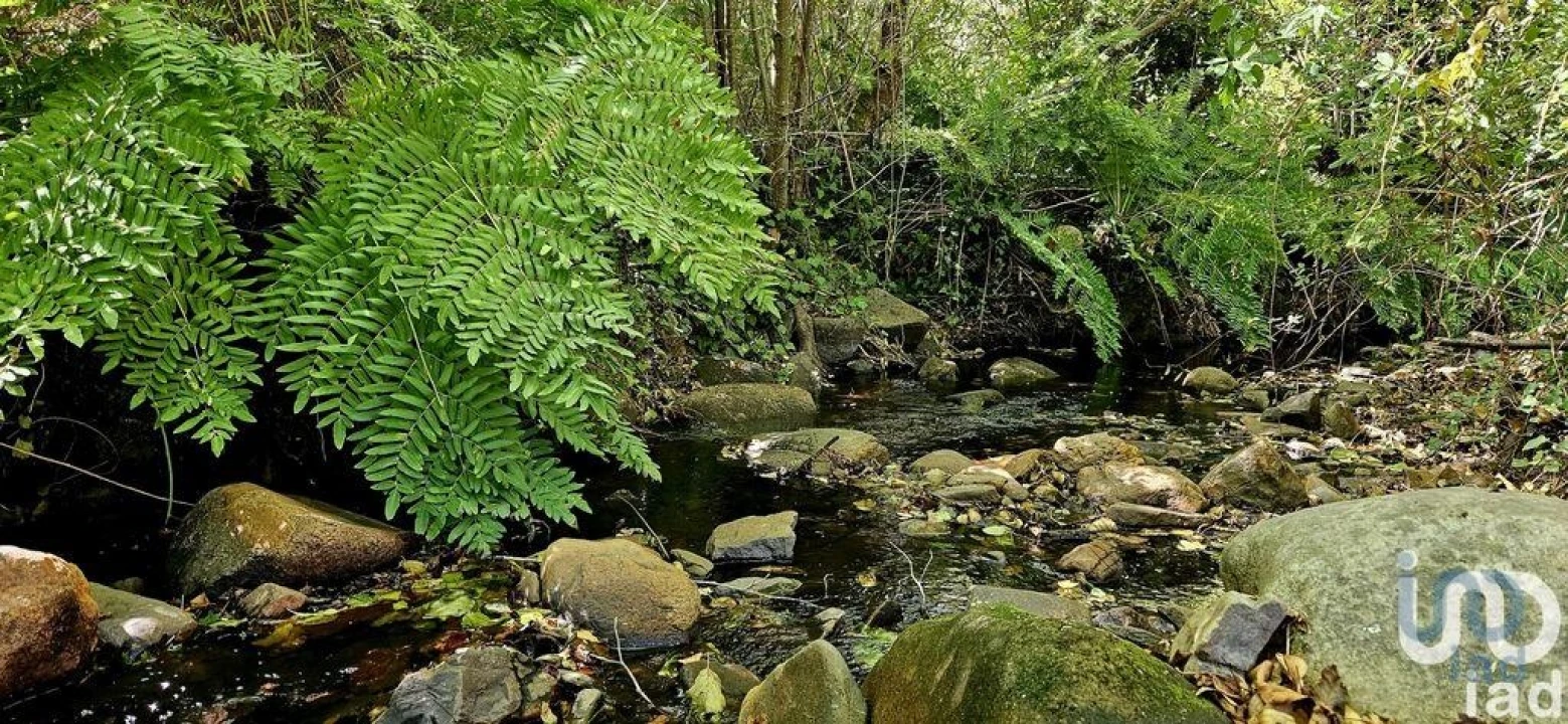 Terreno para Venda em Monchique Foto 3