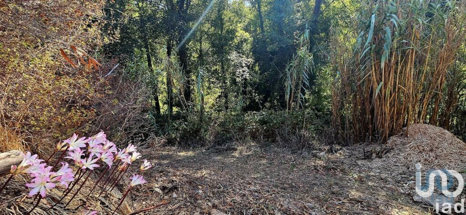 Terreno para Venda em Monchique Foto 9