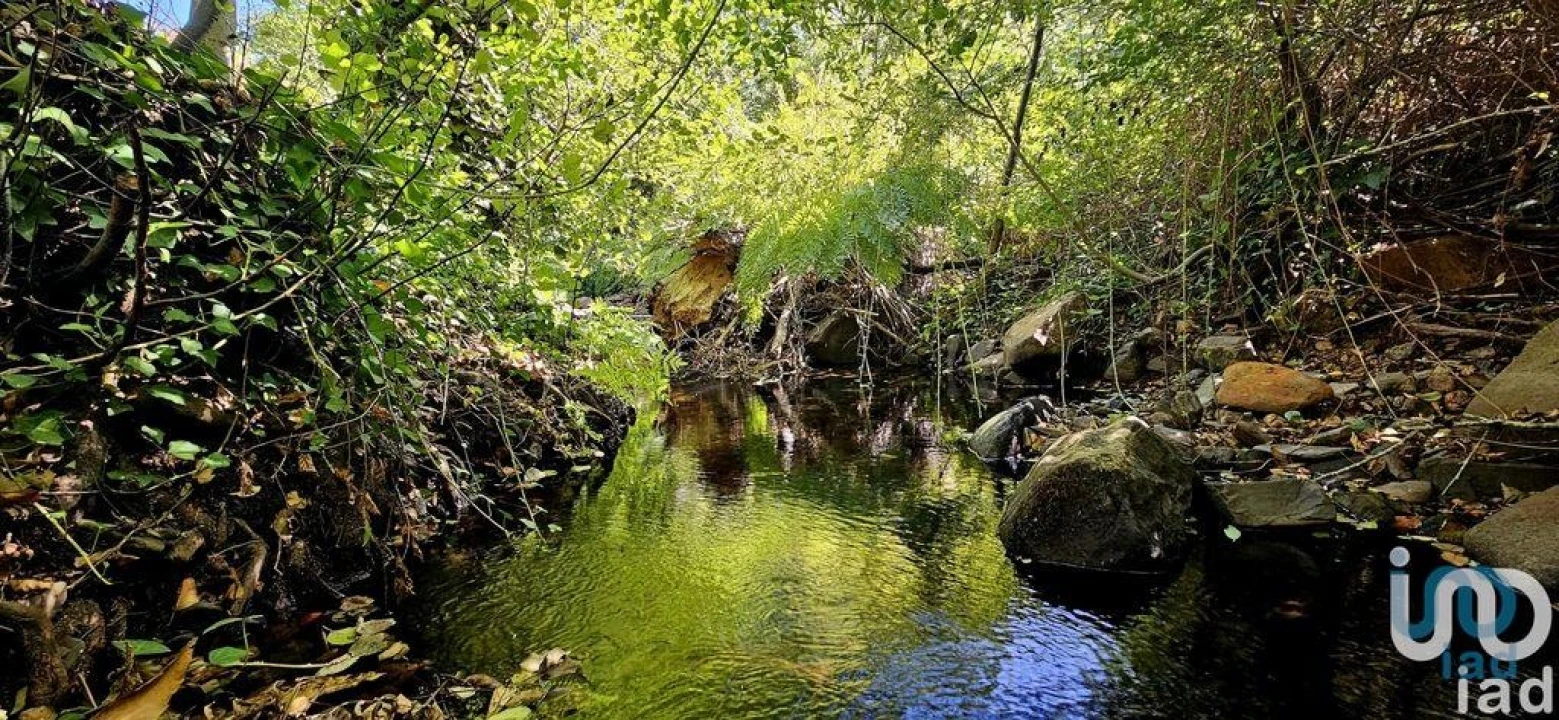 Terreno para Venda em Monchique Foto 4