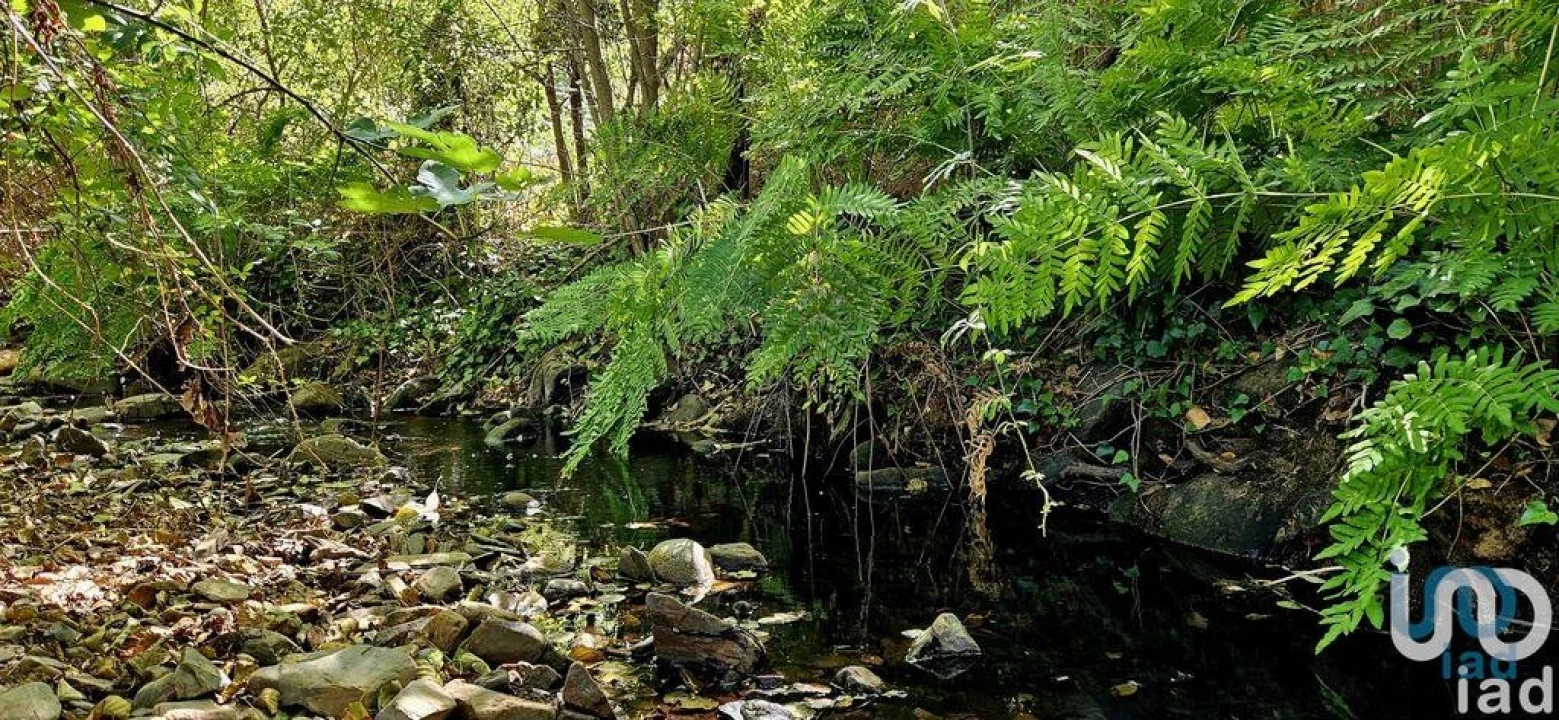 Terreno para Venda em Monchique Foto 7