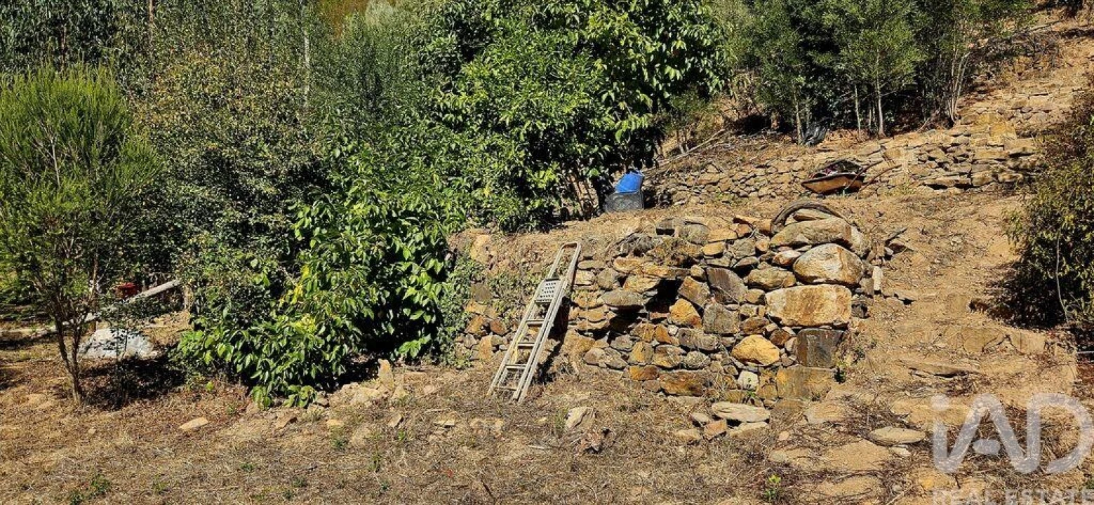 Terreno para Venda em Monchique Foto 25