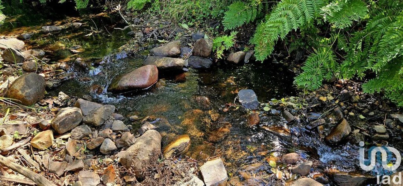 Terreno para Venda em Monchique Foto 2
