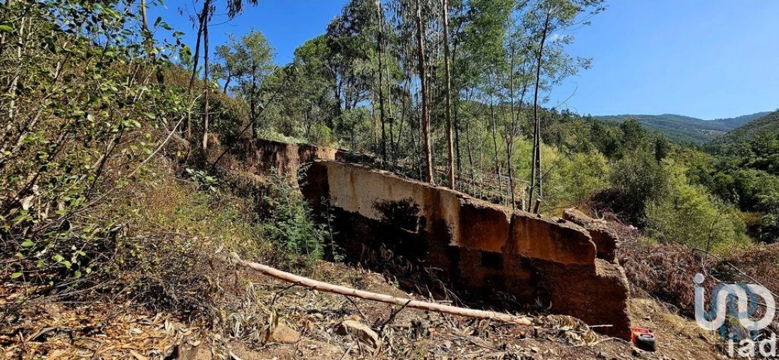 Terreno para Venda em Monchique Foto 12