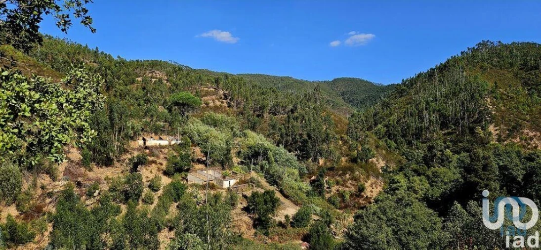 Terreno para Venda em Monchique Foto 1