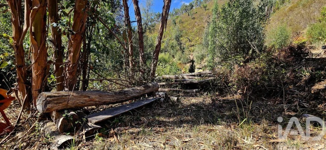 Terreno para Venda em Monchique Foto 29