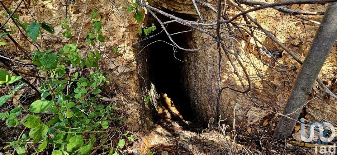 Terreno para Venda em Monchique Foto 11