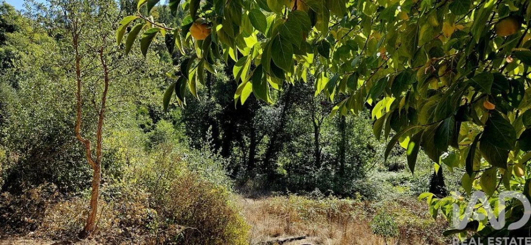 Terreno para Venda em Monchique Foto 26