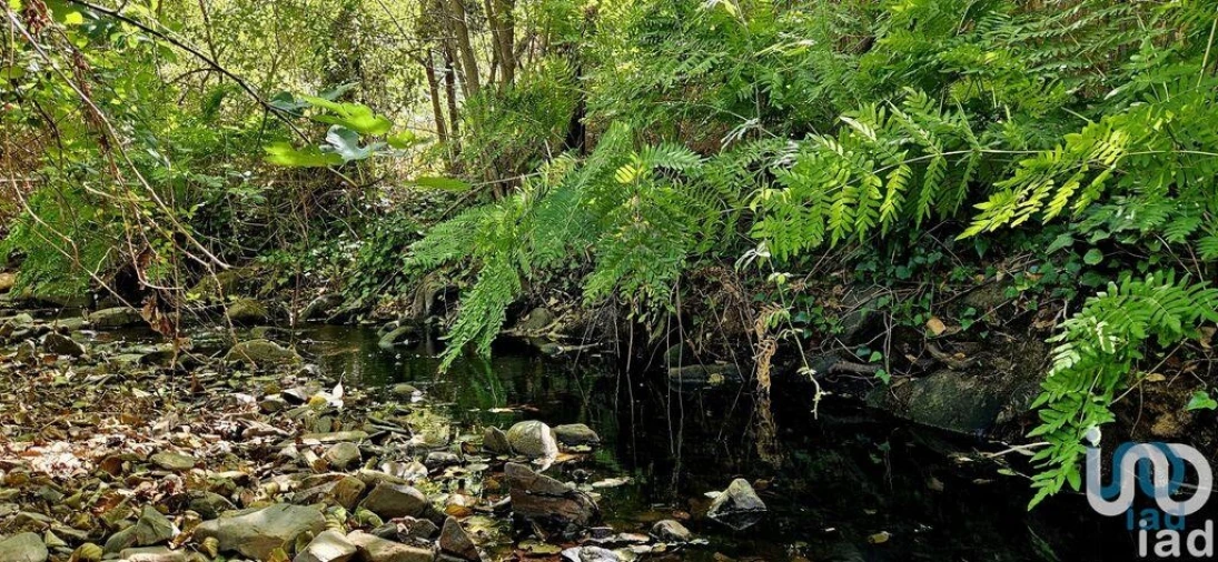 Terreno para Venda em Monchique Foto 7