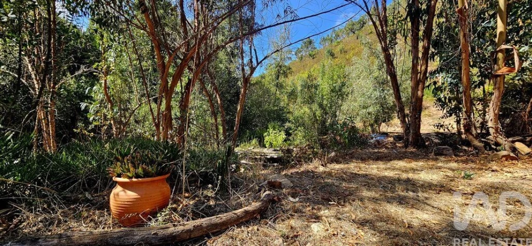 Terreno para Venda em Monchique Foto 27