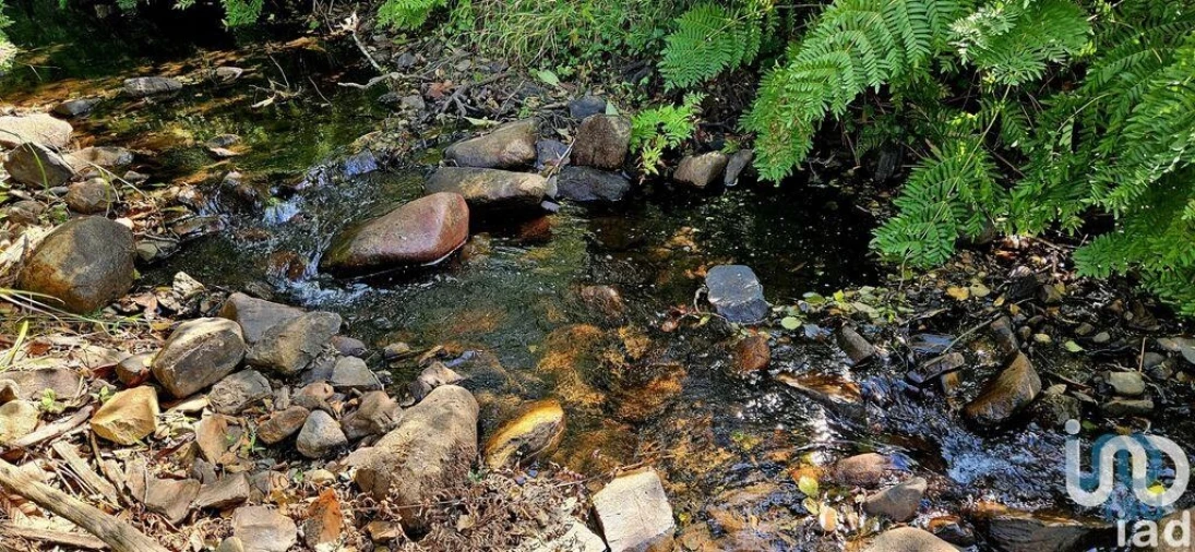 Terreno para Venda em Monchique Foto 2
