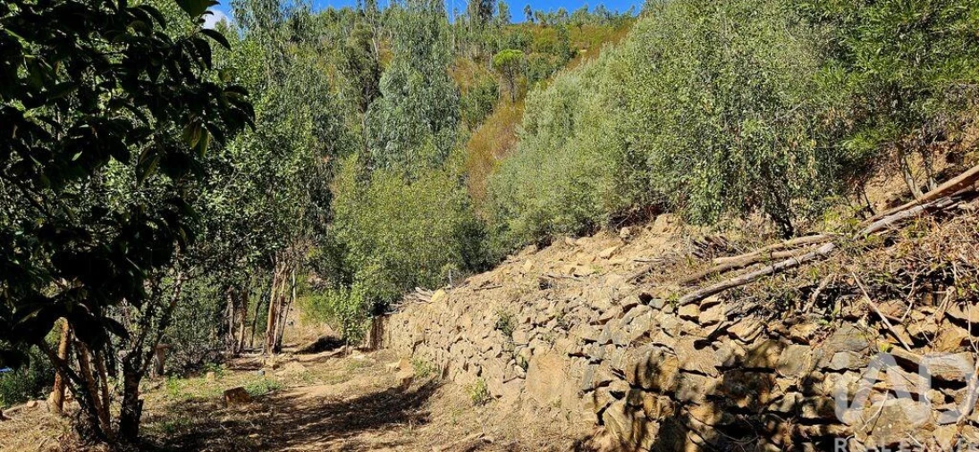 Terreno para Venda em Monchique Foto 21