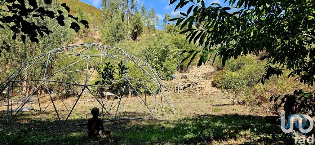 Terreno para Venda em Monchique Foto 6