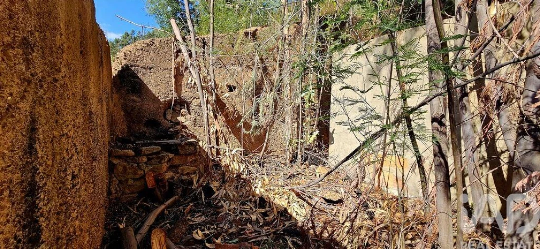 Terreno para Venda em Monchique Foto 15