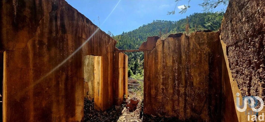 Terreno para Venda em Monchique Foto 14