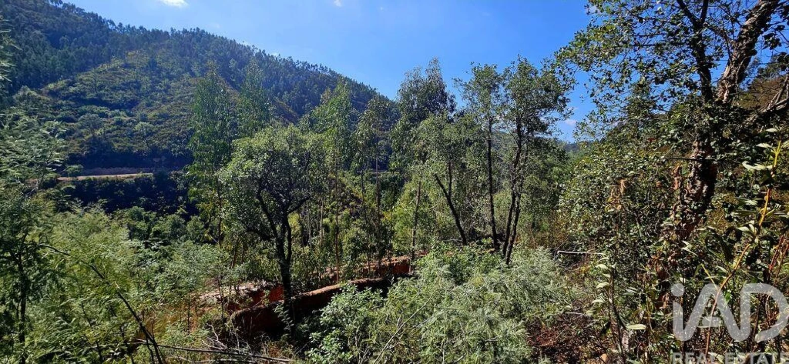 Terreno para Venda em Monchique Foto 17