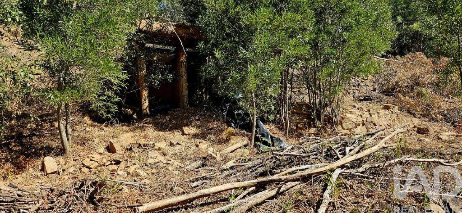 Terreno para Venda em Monchique Foto 19
